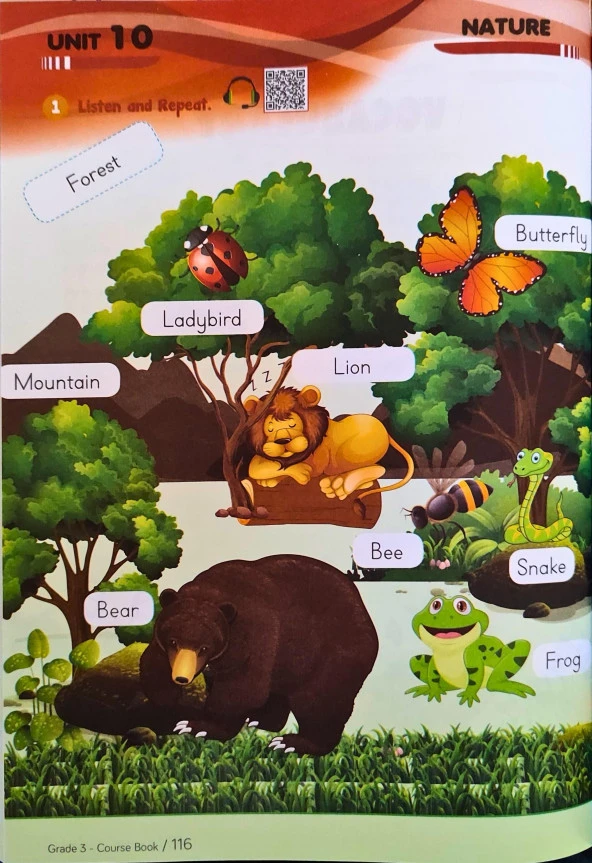 3. Sınıf İngilizce Eğitim Seti FUN & LEARN - 2