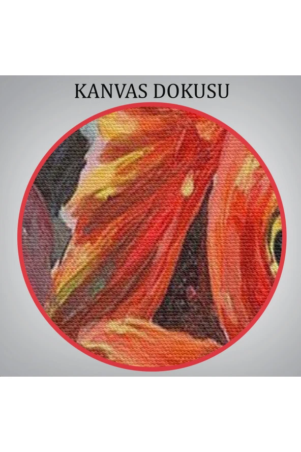 Kırmızı Rujlu Dudak Balon Içerisinde Turuncu Japon Balığı Duvar Tablosu - 4