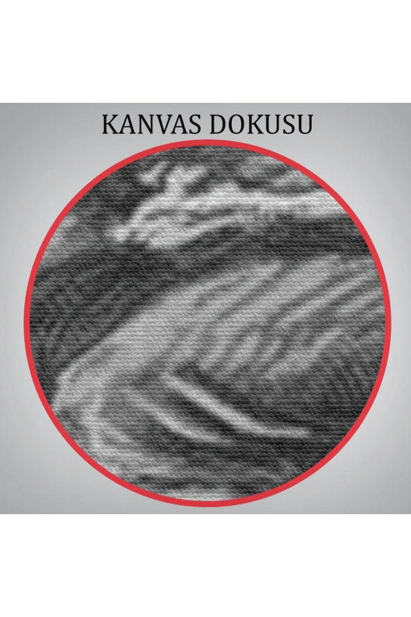 Süpürge ile Uçan Yaşlı Cadı ve Kedisi, Cadılar Bayramı Hediyesi, Hellowen Tablo - 4