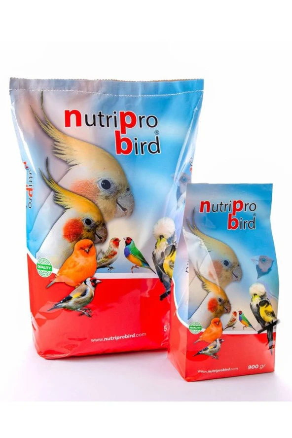 KANARYA PELET YEM 5 KG - 4