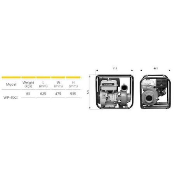 Garden Pro Wp-40Cı Yüksek Basınçlı Döküm Su Motoru 60 Mt-90 Ton/Saat - 2