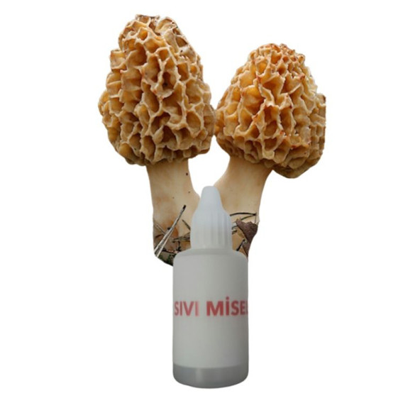 Kuzu Göbeği Mantarı  Miseli Mantar Miseli Tohumu 30cc ürün görseli 1