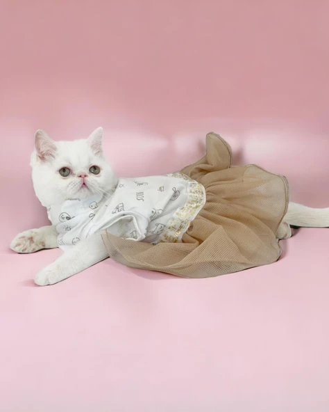 Sun Cream Duo Tütülü Kedi Elbisesi, Kıyafeti Tutu - Resim 6