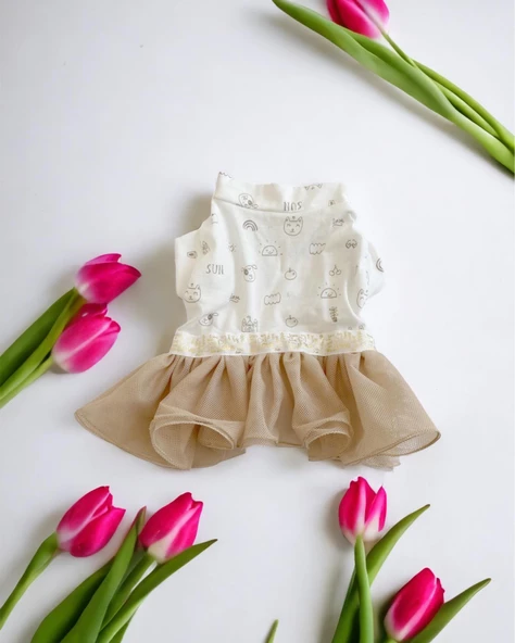 Sun Cream Duo Tütülü Kedi Elbisesi, Kıyafeti Tutu - Resim 4