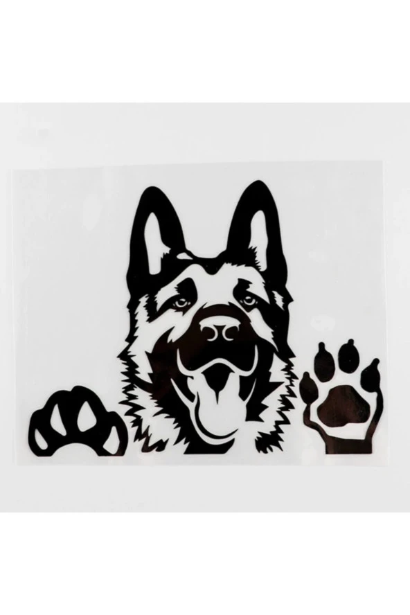 Camdan Bakan Kurt Köpeği Tasarım Oto Stickerı Siyah 12.3*15.6 Cm