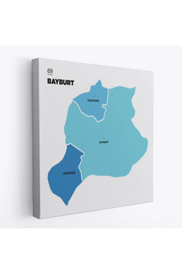 Bayburt İli ve İlçeler Haritası Dekoratif Kanvas Tablo 1290