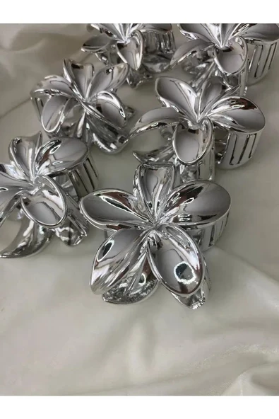 akrilik parlak gri 6 lı lotus madal toka küçük set - 7