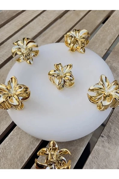 akrilik parlak gri 6 lı lotus madal toka küçük set - 10