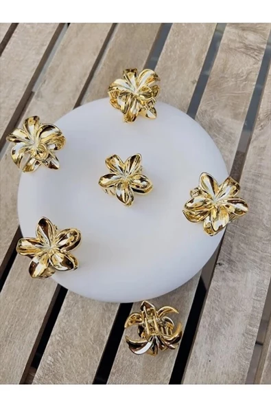 akrilik parlak gri 6 lı lotus madal toka küçük set - 9