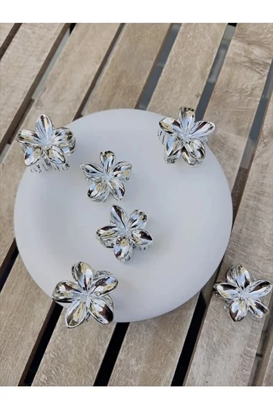 akrilik parlak gri 6 lı lotus madal toka küçük set - 2
