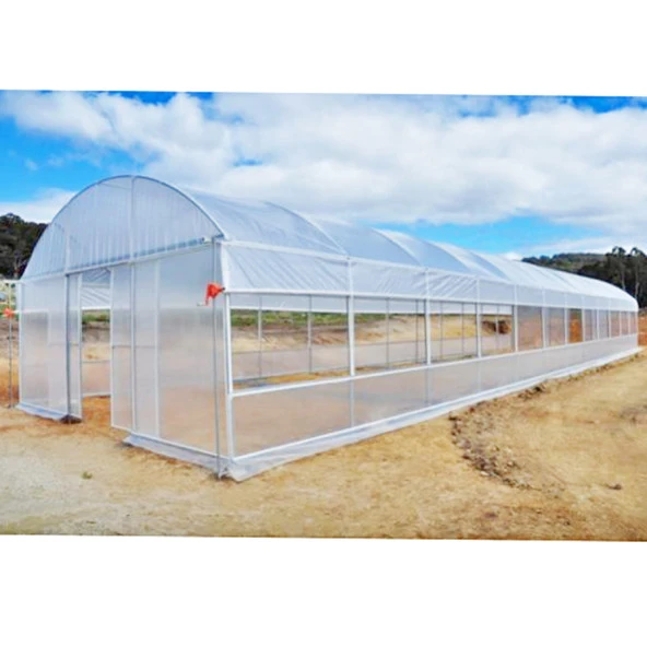 Aletçantam Naylon Branda 25mt² (En:5mt x Boy:5mt) Şeffaf Eşya Sera Örtüsü 140mic - 2