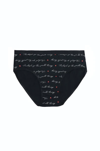 Renkli Büyük Beden Yüksek Bel 3lü Bato Külot - Resim 4