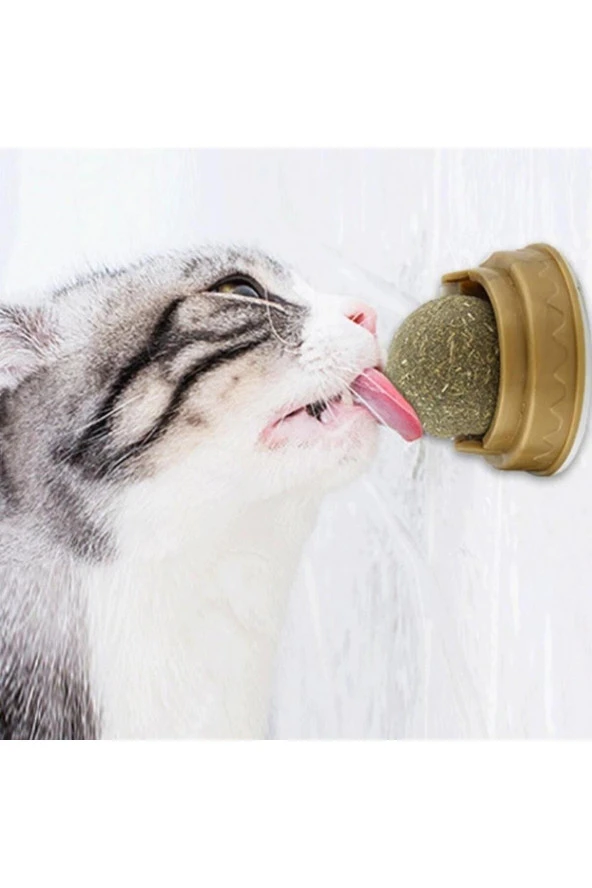Zeki Karga Doğal Catnipli Yenilebilir Kedi Nanesi Otu Oyun Topu Oyuncağı Cat Mint Top Oyuncak - 3