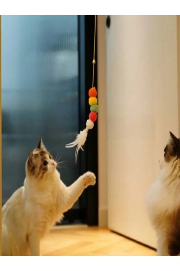 Yıldızhane Elastik Kendinden Yapışkanlı Kedi Oyun Oltası - 4