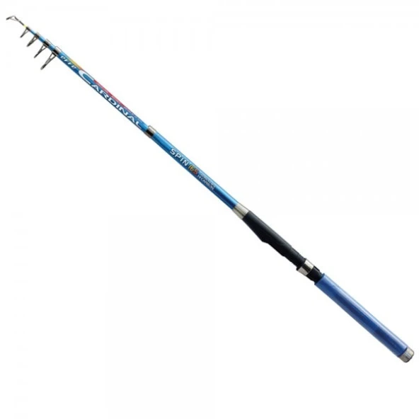 Effe Carbon Cardinal 3.00m 40-80 GR Olta Kamışı