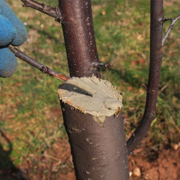EFOR MAX AŞI MACUNU 500 GR AŞI VE BUDAMA İÇİN AŞI MACUNU TÜM AŞI TÜRLERİYLE UYUMLU - 3