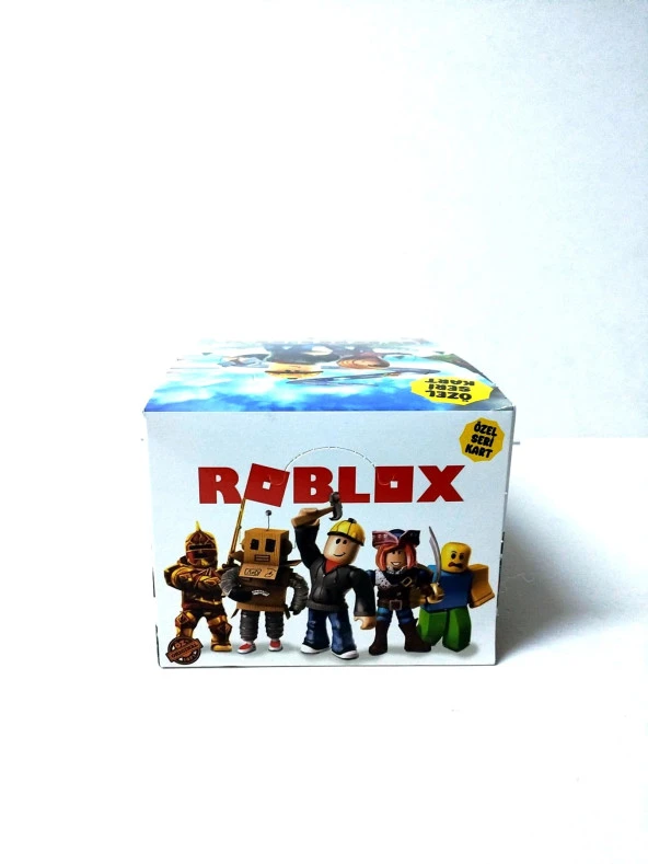 Hayal Sepeti Roblox özel seri 2024  toplam 240 kart - 6