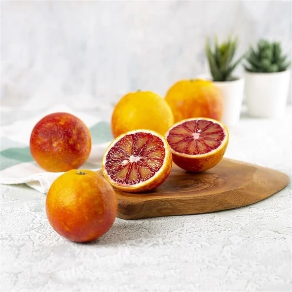 3 Yaş Tüplü Bol Sulu Kan Portakalı Fidanı - Resim 2