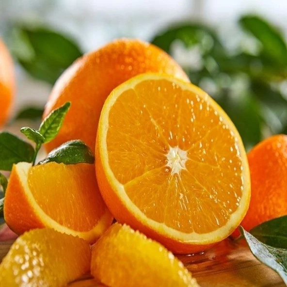 3 Yaş Fukumoto Portakal Fidanı, Tüplü ve Soğuğa Dayanıklıdır - Resim 2