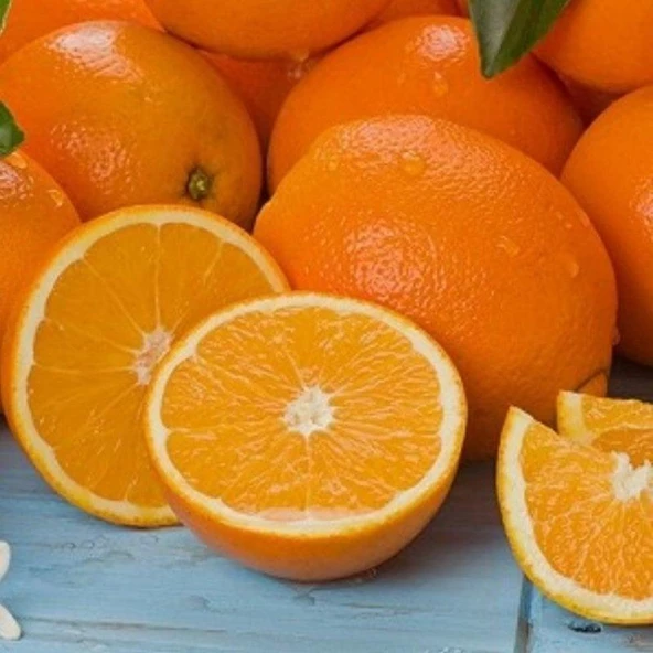 3 Yaş Rize Portakalı Fidanı, Tüplü, Meyve Verir Durumda - Resim 2