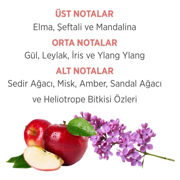 Emotion Romance 50 Ml Edt + Deodorant Parfüm Set