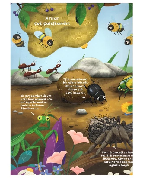 Ne Sorsan Bilir Minik Böcekler - Resim 2