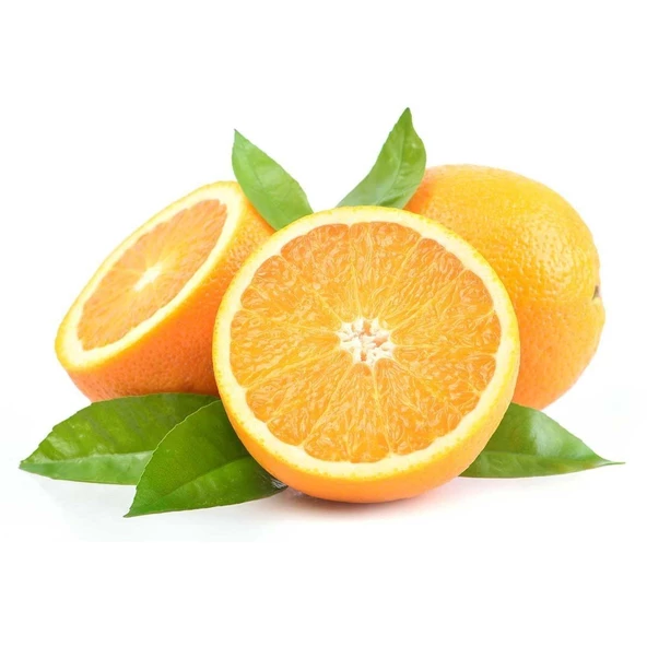 3 Yaş Tüplü Washington Portakal Fidanı ürün görseli