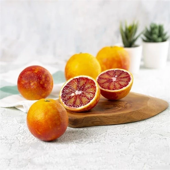 3 Yaş Tüplü Bol Sulu Kan Portakalı Fidanı - Resim 2