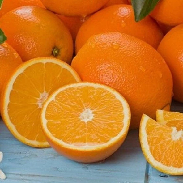 Meyve Verir Durumda 3 Yaş Rize Portakalı Fidanı, Tüplü - Resim 2