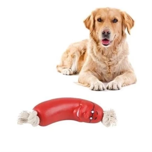 BİZAHMETGELSİN® Evcil Hayvanlar İçin Eğitici 4 Adet Sevimli Oyuncak Sosis - Resim 5