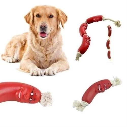 BİZAHMETGELSİN® Evcil Hayvanlar İçin Eğitici 4 Adet Sevimli Oyuncak Sosis - Resim 10