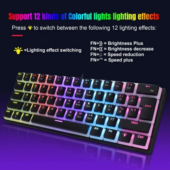 Valkyrie Valkyrie Blue Switch Mekanik Oyuncu Klavye - 61Key Full RGB Pudding Keycap Mavi Tuş HXSJ L700 - 2