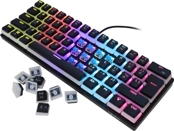 Valkyrie Valkyrie Blue Switch Mekanik Oyuncu Klavye - 61Key Full RGB Pudding Keycap Mavi Tuş HXSJ L700 - 7
