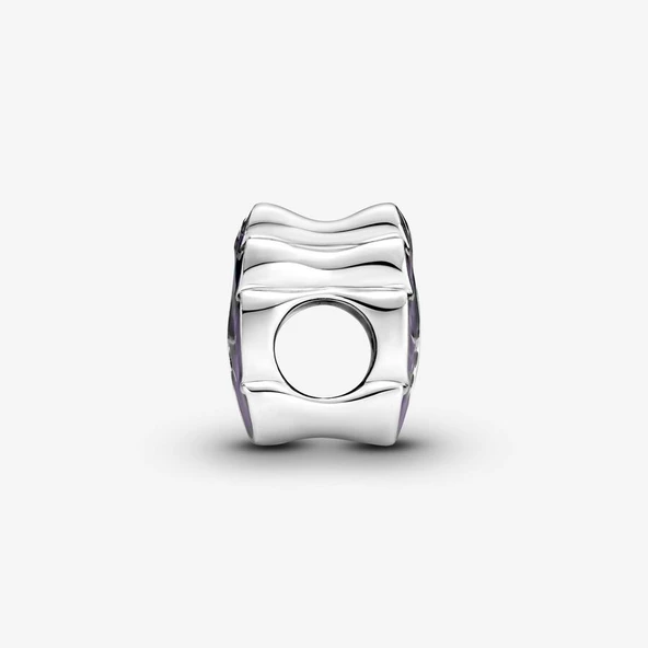 Pandora 799542C01-Mor ve Yeşil Yaprak Charm - 2