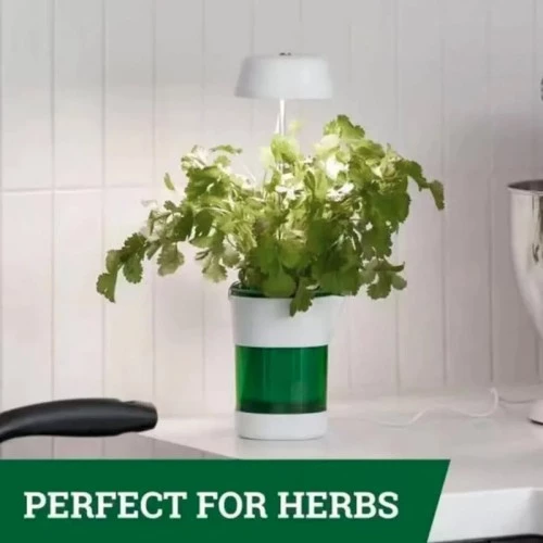 Hızlı Bitki Yetiştirme Saksısı - Resim 5