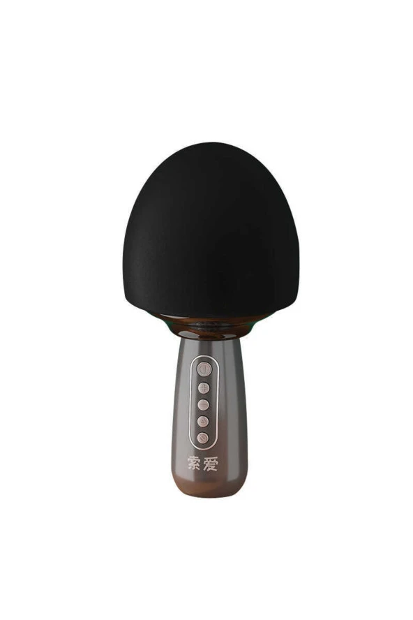 Mc15 Karaoke Mikrofon Bluetooth Hoparlör Renkli Işıklı  Ses Kaydı  Pro Ses Ayarları