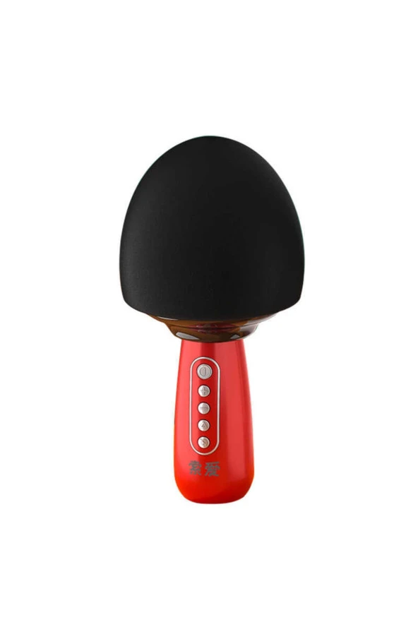 Mc15 Karaoke Mikrofon  Bluetooth Hoparlör  Renkli Işıklı  Ses Kaydı  Pro Ses Ayarları