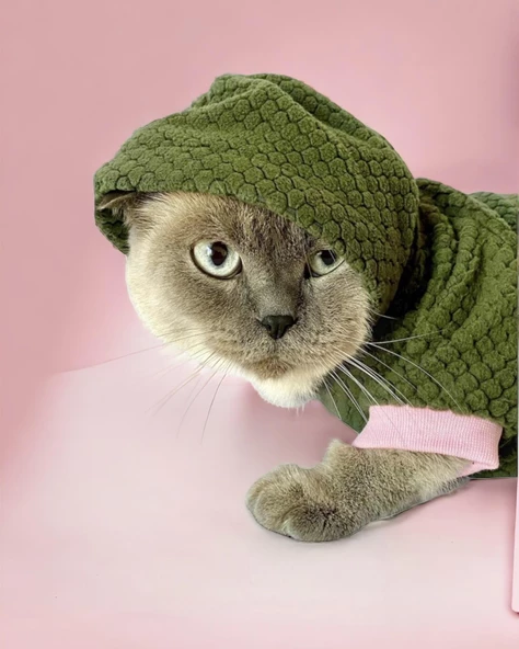 Greenco Bunny Kapsonlu Sweatshirt Kedi Elbisesi Süeteri Kedi Kıyafeti - 3
