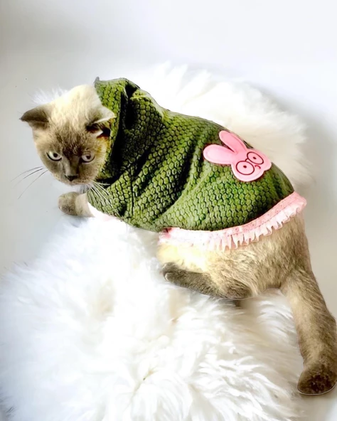 Greenco Bunny Kapsonlu Sweatshirt Kedi Elbisesi Süeteri Kedi Kıyafeti - 2