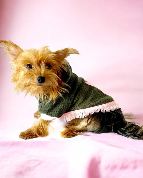 Greenco Bunny Kapşonlu Sweat Elbise by Kemique Köpek Kazağı - 2