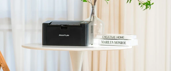 PANTUM P2500W Wi-Fi Mono Lazer Yazıcı - Resim 2