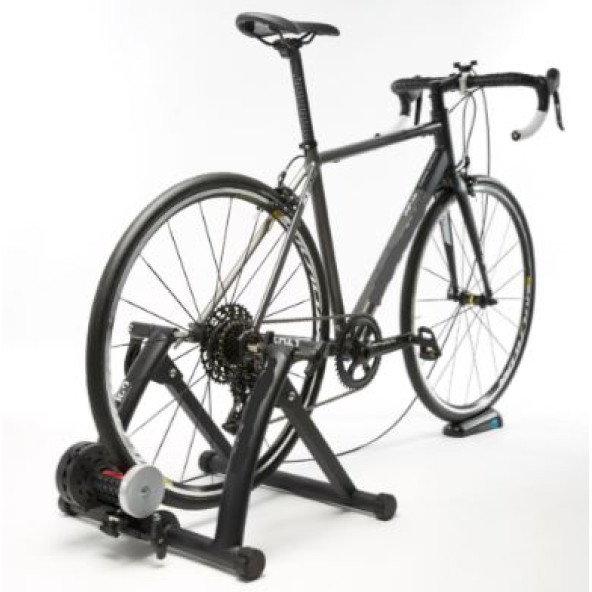 Trainer - 4