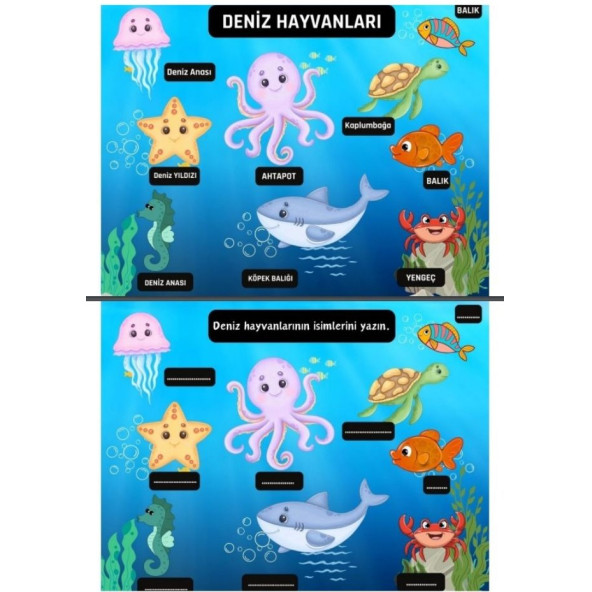 Okul Öncesi KES-YAPIŞTIR-YAZ-SİL Eğitim Seti (Laminasyonlu) - 3
