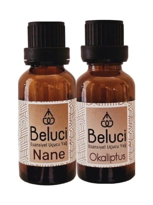 Nane + Okaliptus Uçucu Buhurdanlık Yağı Oda Kokusu Aromaterapi Set (2 Ad*30 ml)