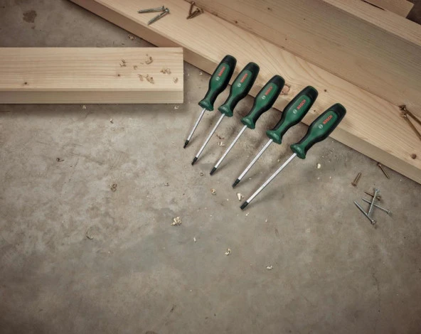 Bosch Home And Garden Torx Tornavida Seti 5 Parça - 1600A02BX6 - 2