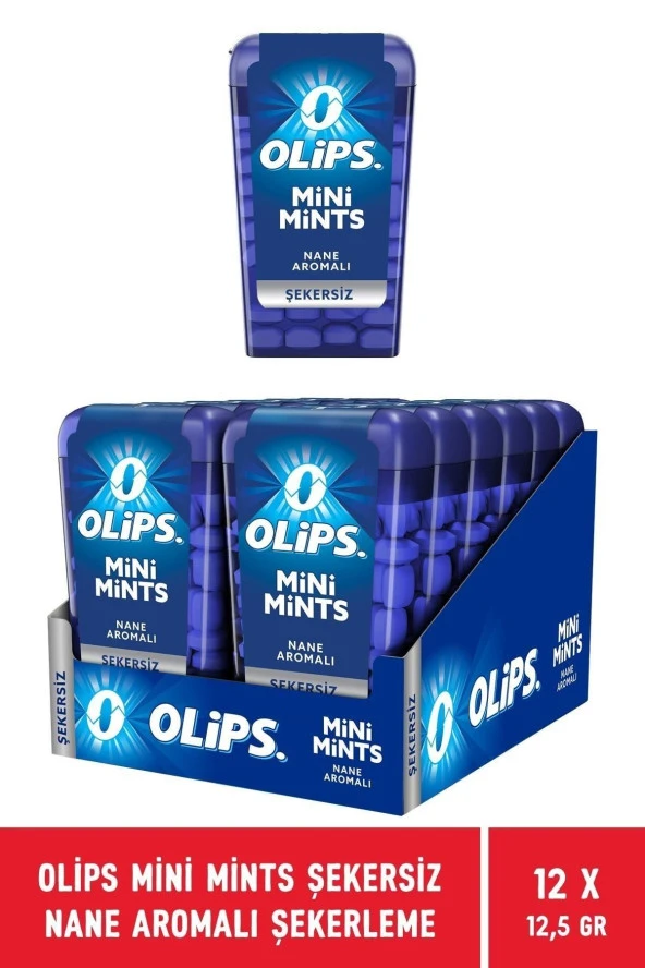 Mini Mints Şekersiz Nane Aromalı Şekerleme 12,5 gr - 12 Adet