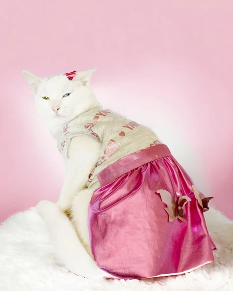 Yassi Glitz Kedi Elbisesi, Kedi Kıyafeti , Kedi Kostümü ürün görseli 1
