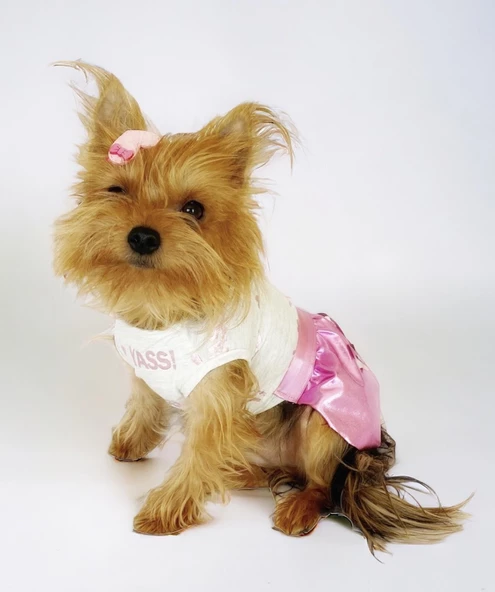 Yassi Glitz Köpek Elbisesi, Köpek Kıyafeti - 2