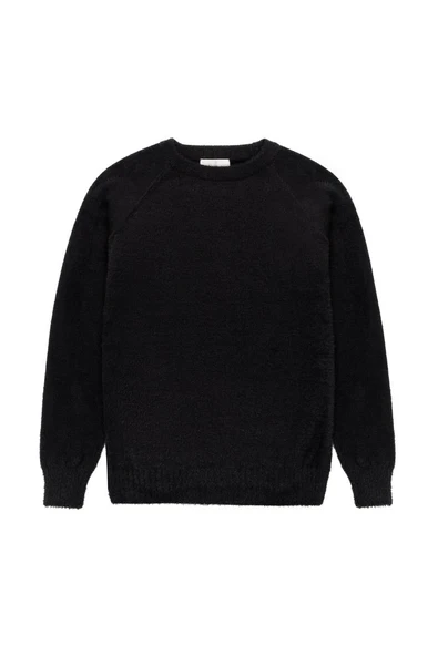 Peraluna HAZEL PULLOVER Bisiklet Yaka Rahat Kesimı Kadın Triko Kazak - Siyah - Resim 6