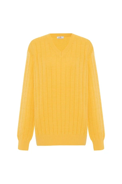 Peraluna ZACHA 'V Neck' NECK PULLOVER Üç Boyut Çizgili Mevsimlik Erkek Triko Kazak - Sarı ürün görseli 1